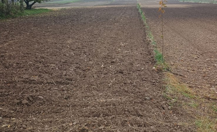 działka na sprzedaż - Koniusza, Dalewice